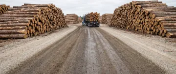 Forestry & Lumberyards