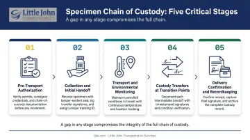 Five-stage medical specimen chain of custody transport process flow diagram