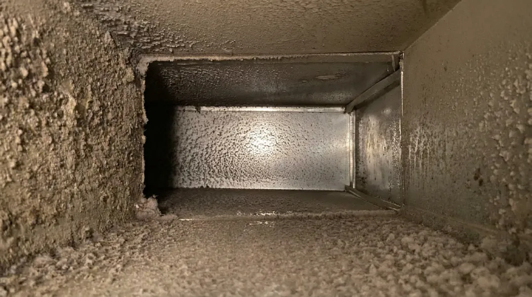 HVAC air duct interior showing dust and mold buildup in humid Florida climate