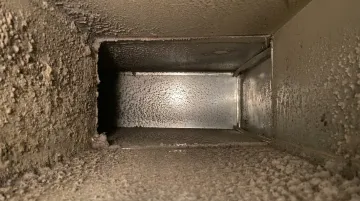 HVAC air duct interior showing dust and mold buildup in humid Florida climate