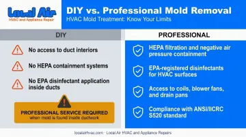 DIY mold removal versus professional HVAC remediation comparison side by side