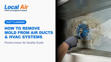 How to Remove Mold from Air Ducts & HVAC Systems