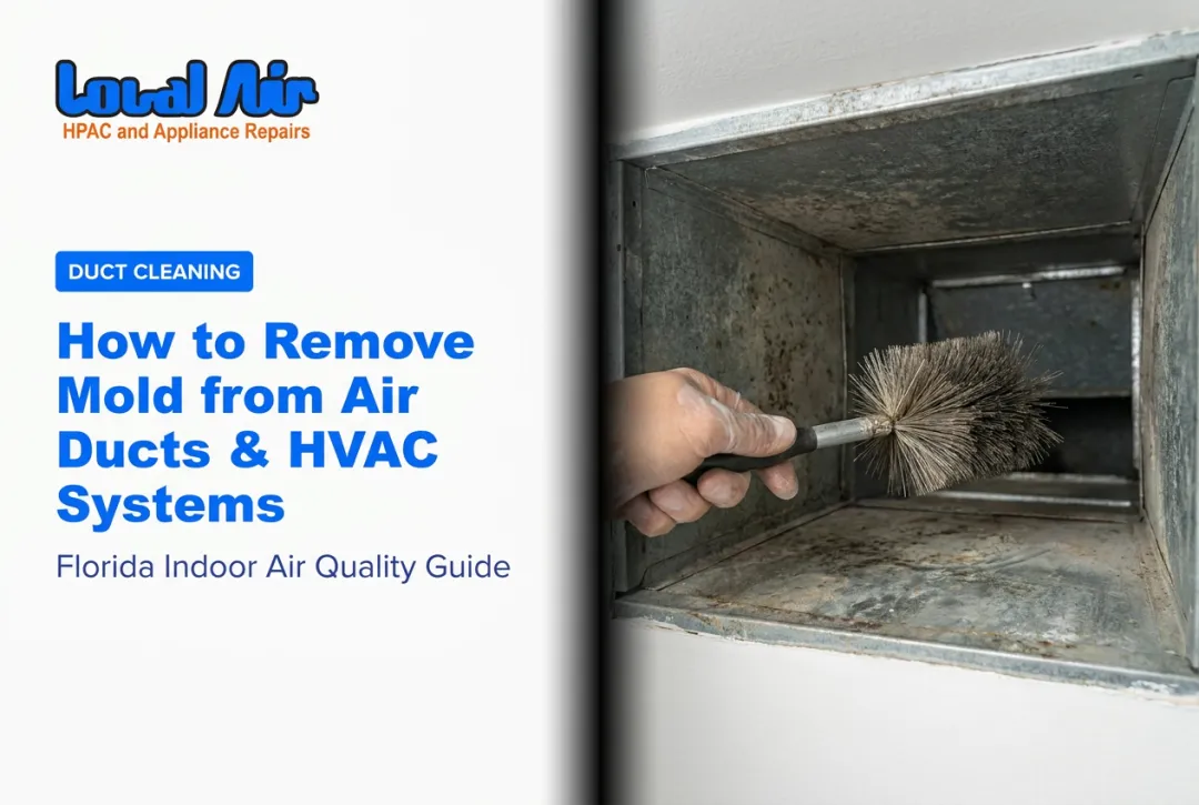 How to Remove Mold from Air Ducts & HVAC Systems