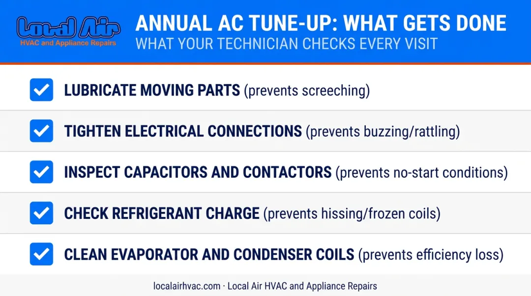Five-point annual AC maintenance checklist preventing noise and system failure infographic