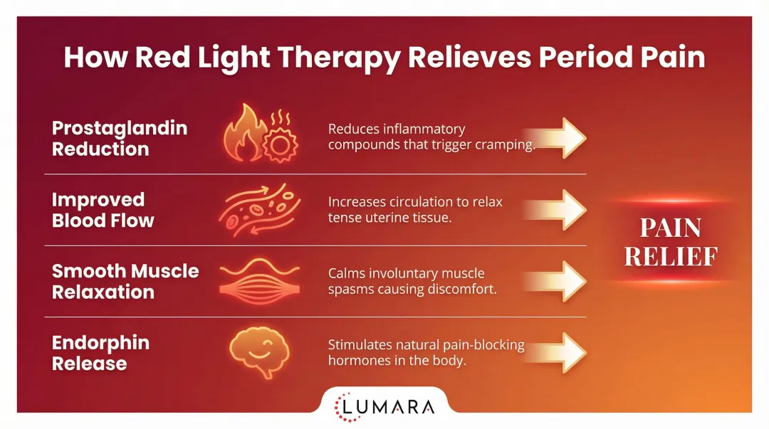 Four red light therapy mechanisms relieving period pain pathway diagram