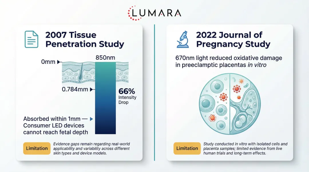 Two key red light therapy pregnancy studies summarizing findings and limitations
