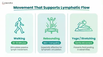 Flexible pad for lymphatic support: body contact format advantages for abdominal and inguinal zone coverage