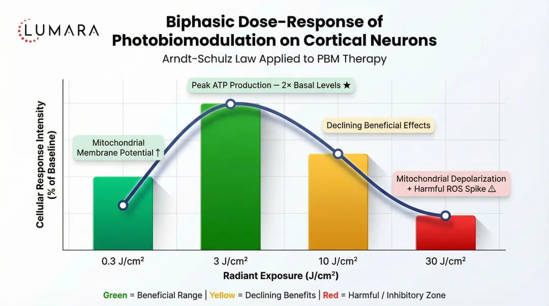 Biphasic dose response curve showing red light therapy energy density effects on neurons