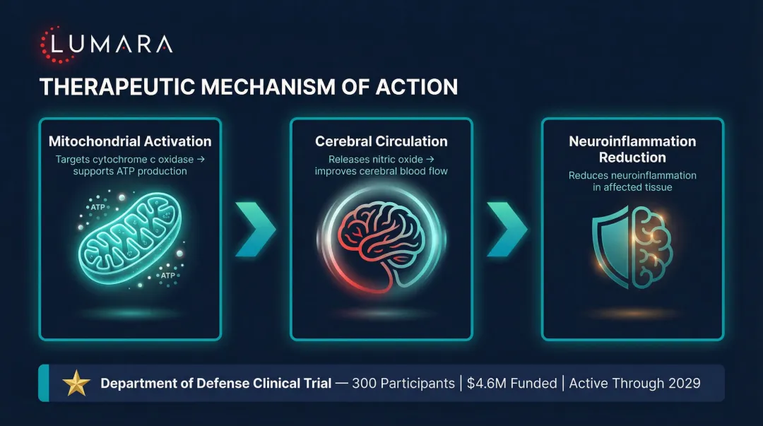 Photobiomodulation traumatic brain injury treatment mechanism three-level process flow