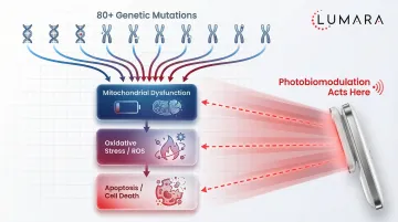 Near-infrared photobiomodulation retinitis pigmentosa research: animal model photoreceptor preservation and ERG findings