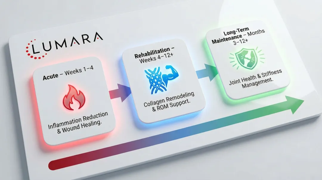 Three-phase ACL recovery red light therapy protocol timeline from acute to maintenance