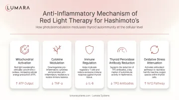 Anti-inflammatory mechanism of red light therapy for Hashimoto's thyroiditis: immune modulation and thyroid tissue effects