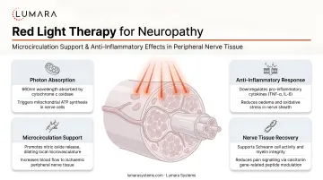 Red light therapy mechanism for neuropathy: microcirculation support and anti-inflammatory effects in peripheral nerve tissue