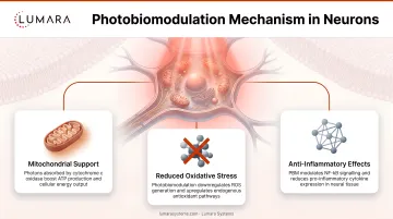 Photobiomodulation mechanism in neurons: mitochondrial support, reduced oxidative stress, and anti-inflammatory effects