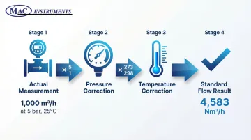 Infographic