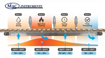 Infographic