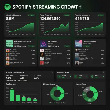 Spotify artist campaign dashboard showing streaming growth charts and audience demographics