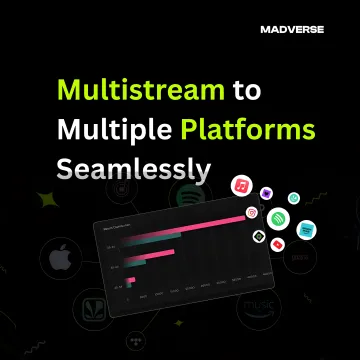 Multistream to Multiple Platforms Seamlessly