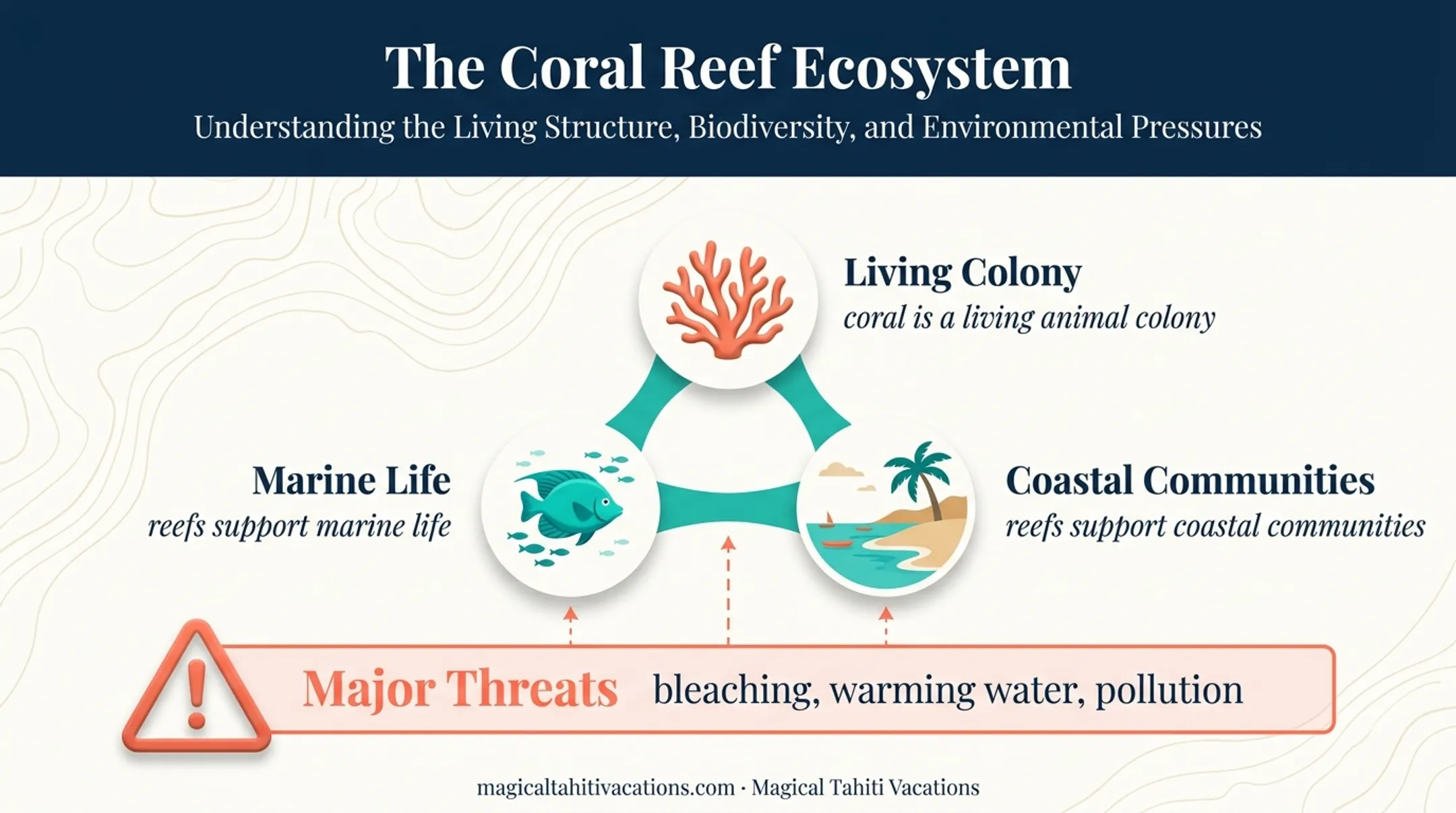 Coral reef ecosystem threats and importance infographic