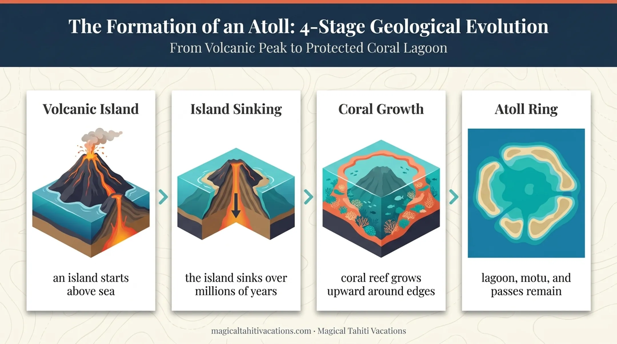 Four-stage Tuamotu atoll formation process from volcano to reef ring