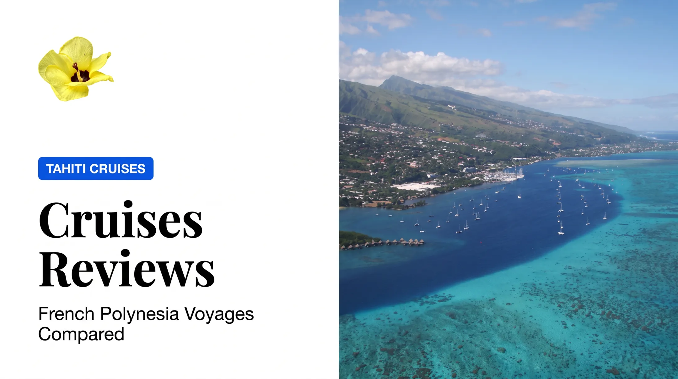 Cruises Reviews