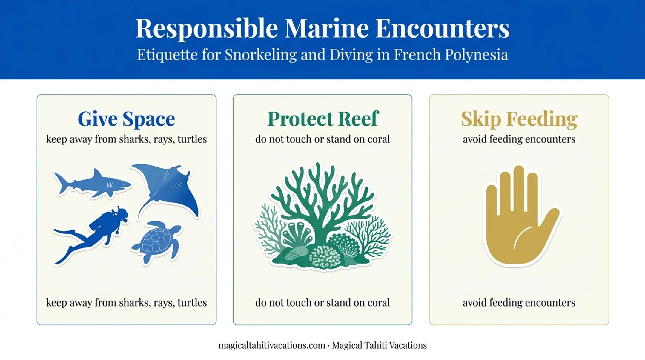 Three responsible scuba diving practices for Huahine marine life
