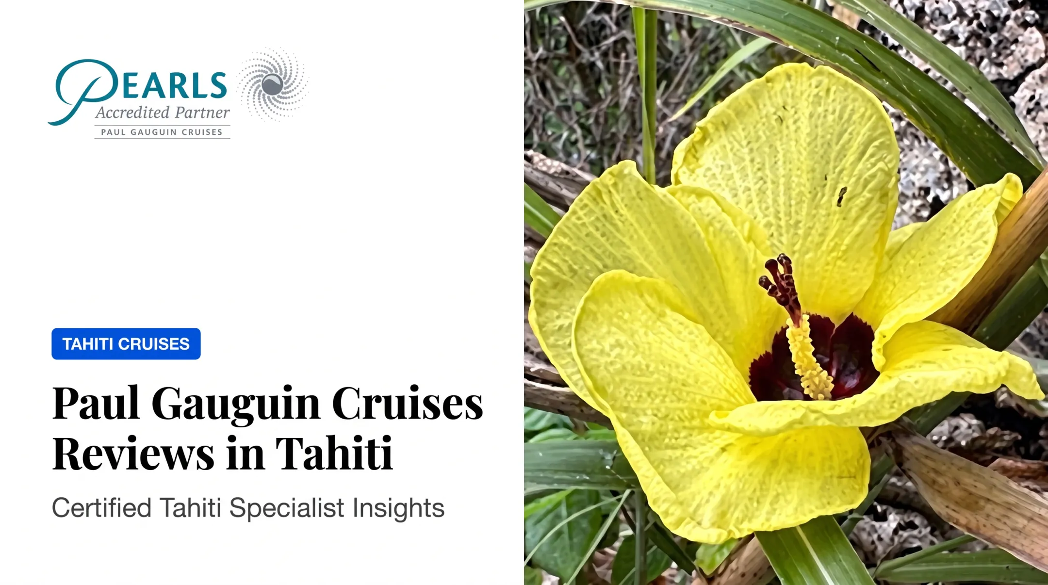 Paul Gauguin Cruises Reviews in Tahiti
