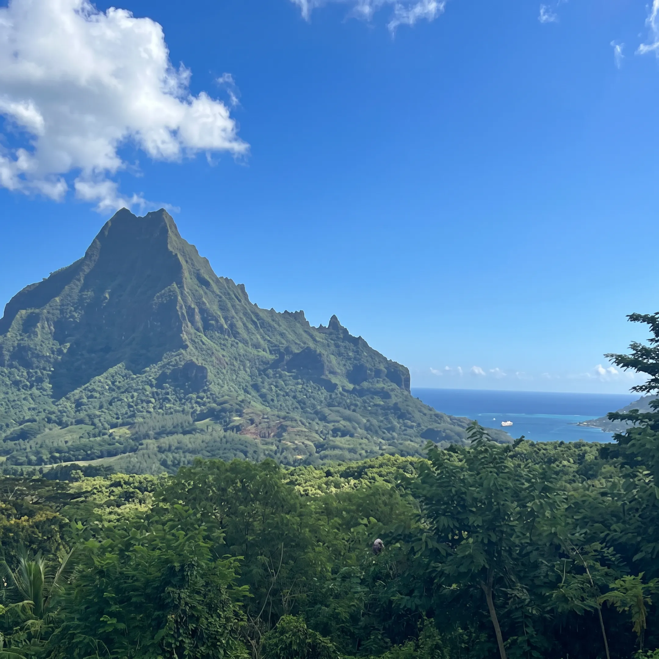 Travel advisor planning a Rangiroa vacation beside a tropical island itinerary