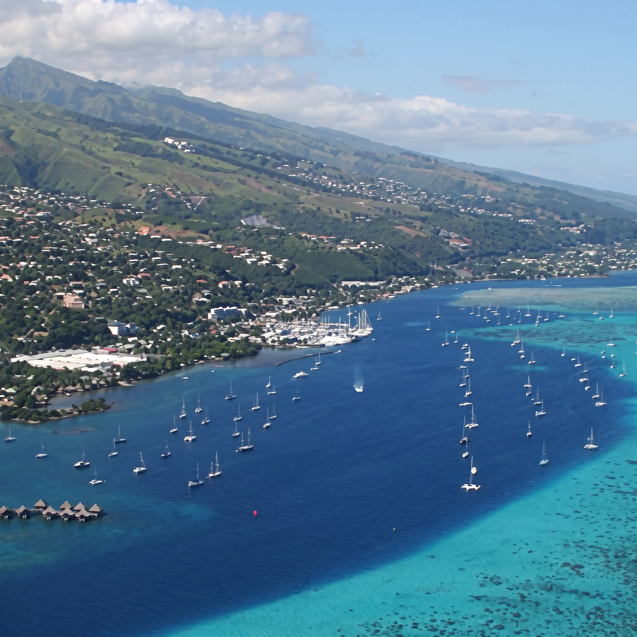 Travel specialist reviewing a Tahiti cruise itinerary with a couple