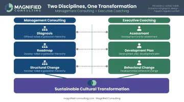 Consulting versus executive coaching integrated model showing parallel organizational and individual change tracks