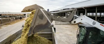 Dairy & Livestock Operations