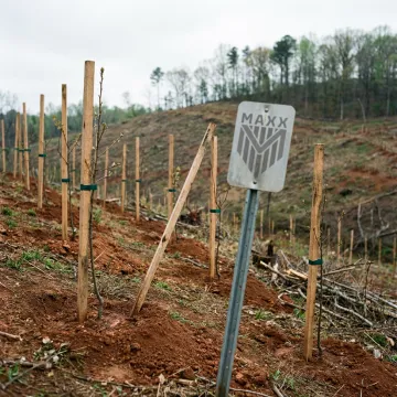 Forestry & Timber