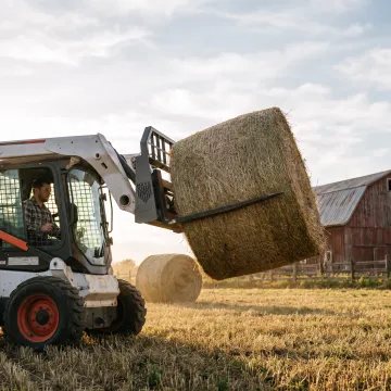 Agriculture