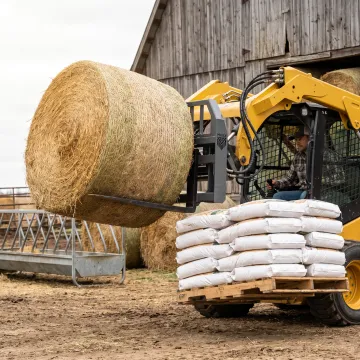 Agriculture
