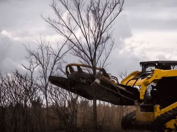 Forestry & Timber Management