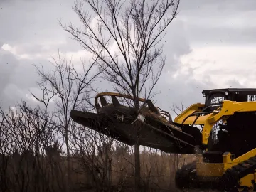 Land Clearing & Forestry