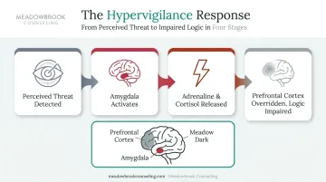 Brain's fight-or-flight response showing amygdala overriding prefrontal cortex reasoning