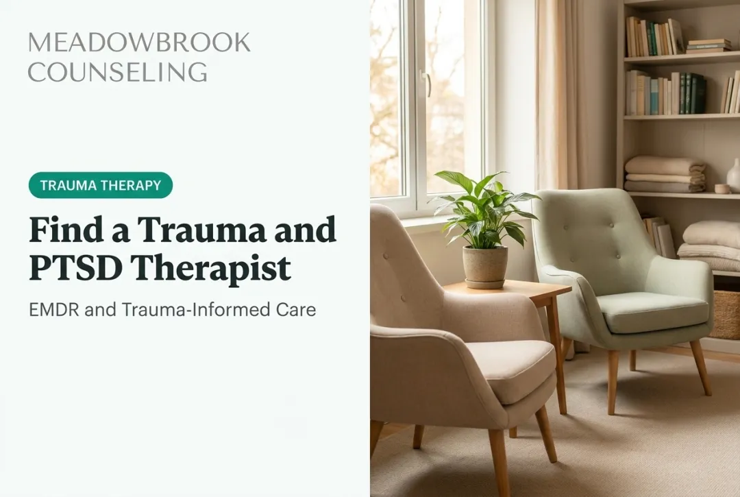Find a Trauma and PTSD Therapist