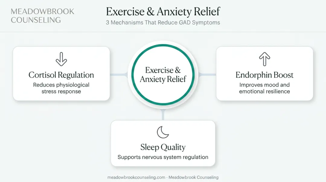 Three mechanisms of exercise reducing generalized anxiety disorder symptoms infographic