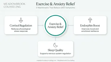 Three mechanisms of exercise reducing generalized anxiety disorder symptoms infographic