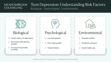 Teen depression risk factors across biological psychological and environmental categories