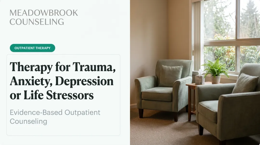 Therapy for Trauma, Anxiety, Depression or Life Stressors