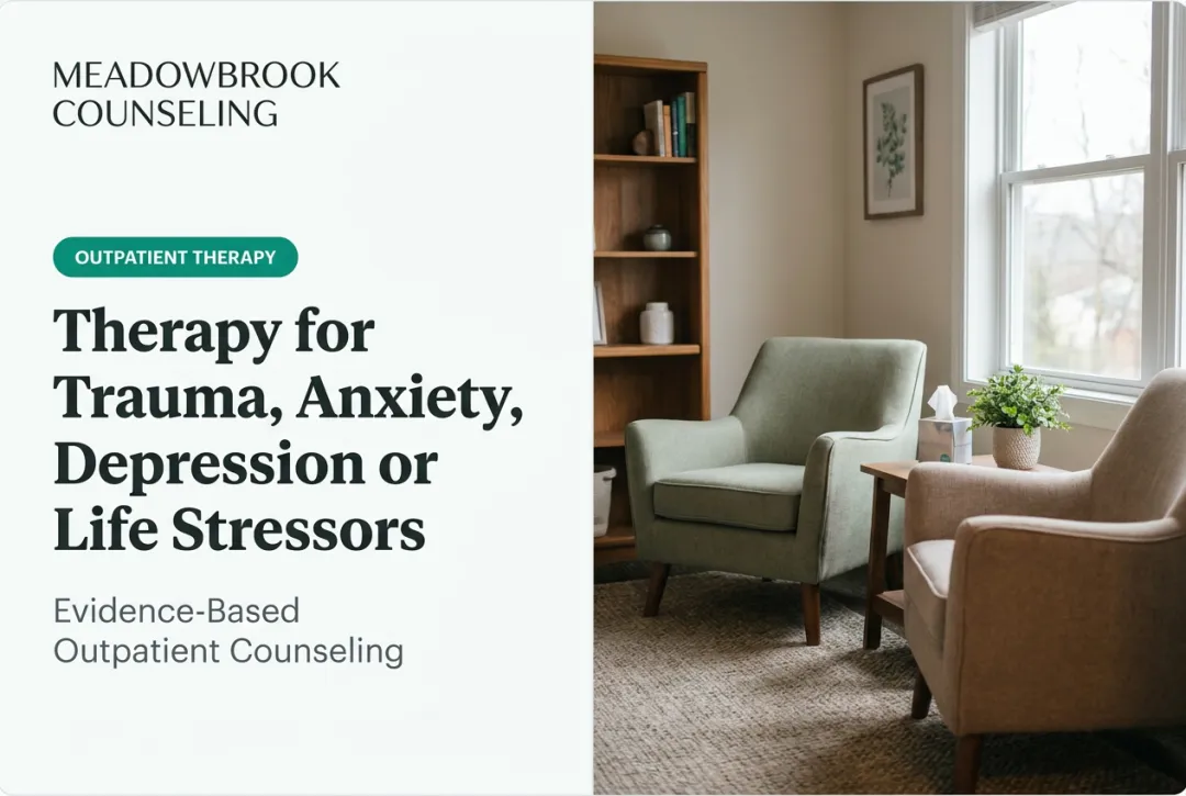 Therapy for Trauma, Anxiety, Depression or Life Stressors