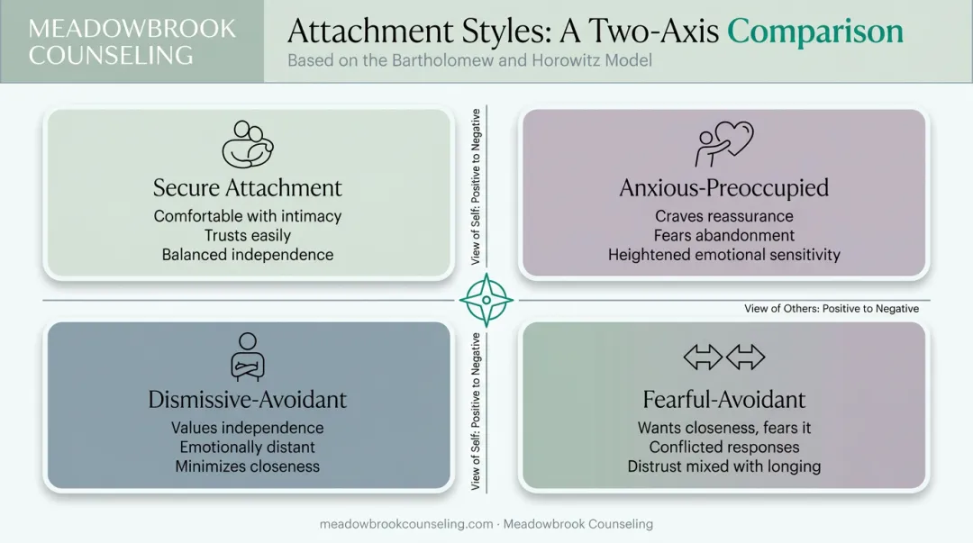 Four attachment styles comparison showing secure anxious avoidant and fearful patterns