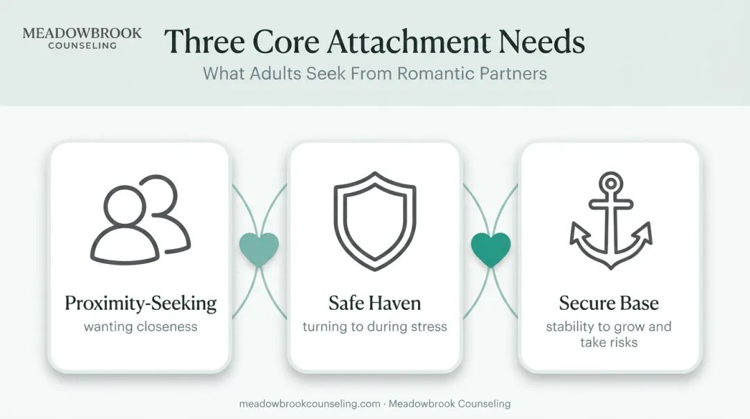 Three core adult attachment needs proximity safe haven secure base diagram