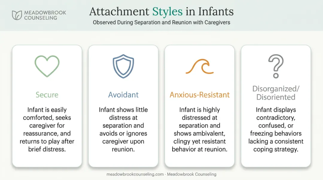Four infant attachment styles based on Ainsworth's separation and reunion research