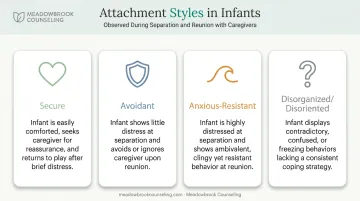 Four infant attachment styles based on Ainsworth's separation and reunion research