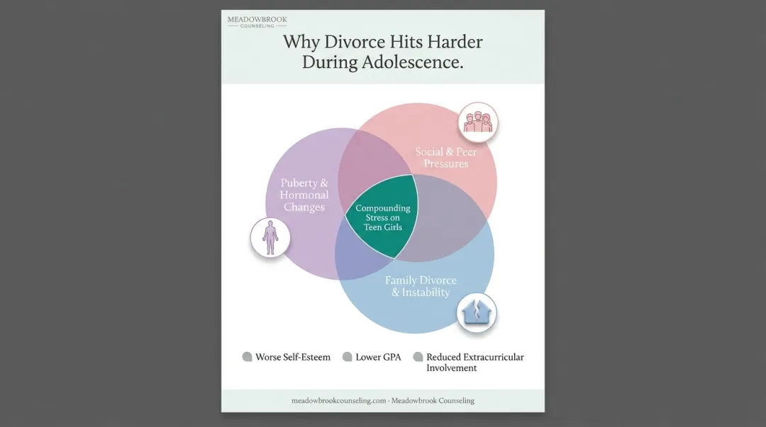 Overlapping life transitions during adolescence and parental divorce infographic