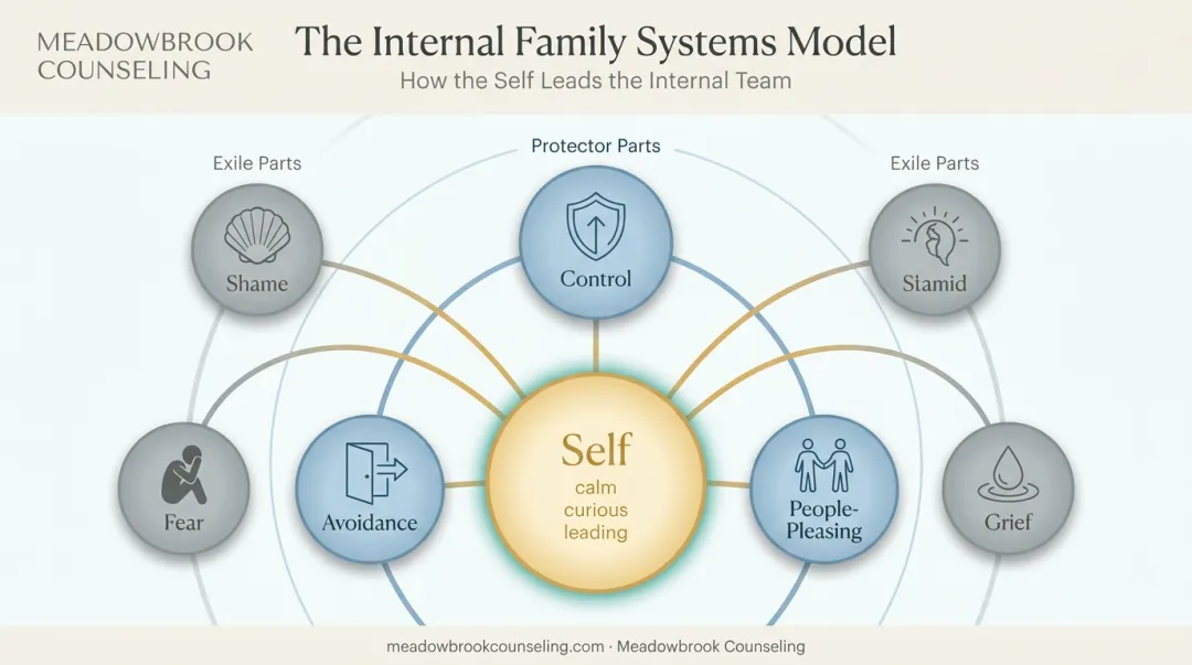 Internal Family Systems model showing Self Protector and Exile parts hierarchy