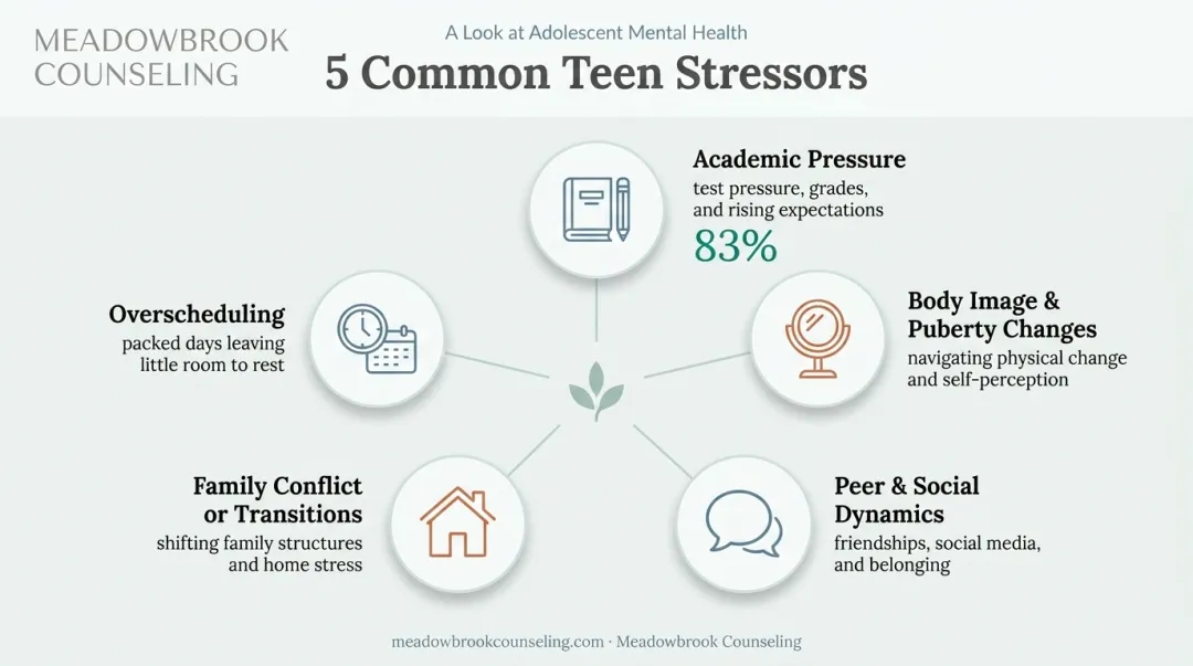 5 common stressors teenagers face including academics and body image